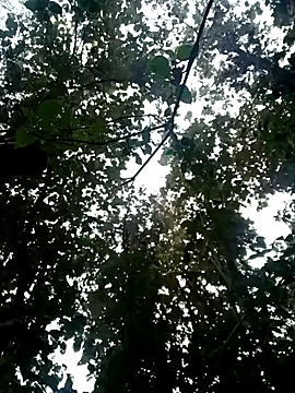 Fucker boy 1 online show from 01/19/25, 03:50