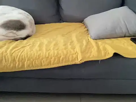 Snapshot of 4small4inchlol chatting on 10/13/25, 10:48 4small4inchlol online show from 10/13/25, 10:48