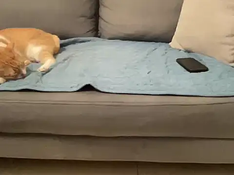 Snapshot of 4small4inchlol chatting on 11/14/25, 03:55 4small4inchlol online show from 11/14/25, 03:55