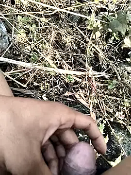 royalrohan3245 online show from 11/20/25, 04:56