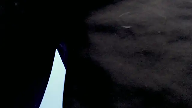 Jake tripp online show from 09/27/25, 04:17