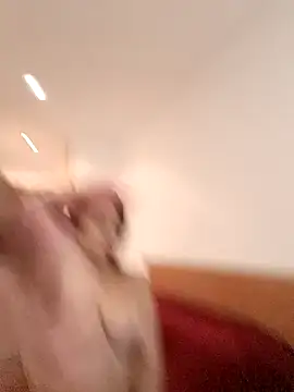 THIAGOEVA online show from 12/10/24, 12:05