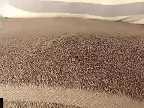 mikellwilliams10 online show from 03/11/25, 08:53