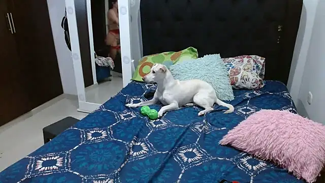 Snapshot of amazonafit_ chatting on 02/15/25, 04:14 amazonafit online show from 02/15/25, 04:14