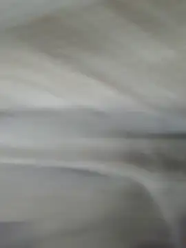 Snapshot of lm279 chatting on 11/01/25, 03:58 lm279 online show from 11/01/25, 03:58