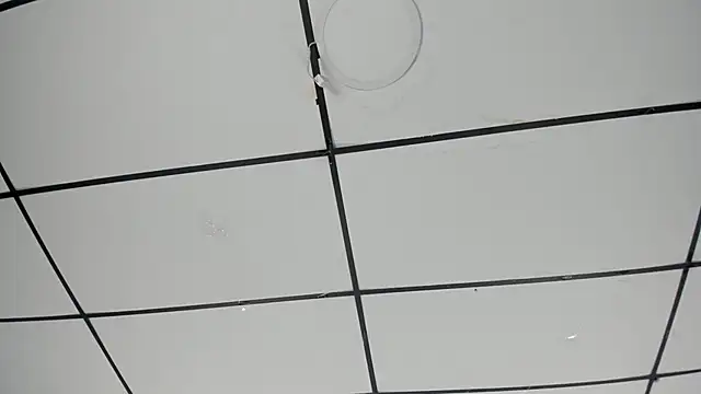 Sophia Lemos online show from 10/18/25, 01:45