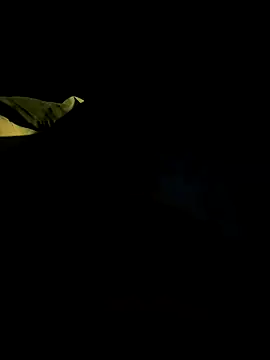 bigdickbandot online show from 11/18/25, 11:03