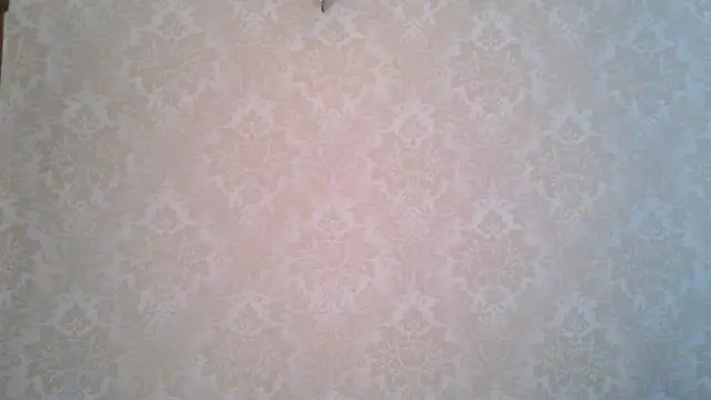 Snapshot of Kashtanka_ chatting on 11/04/25, 08:57 Kashtanka online show from 11/04/25, 08:57