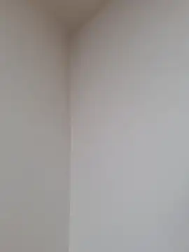 D vid99 online show from 11/12/25, 02:06