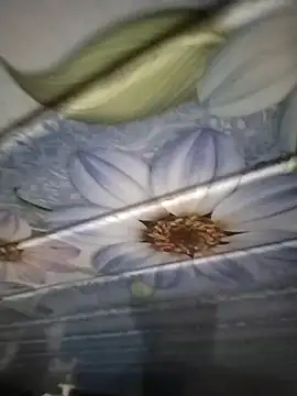 Snapshot of kunalmishra2003 chatting on 11/20/25, 11:48 kunalmishra2003 online show from 11/20/25, 11:48