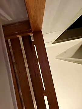 Josephine LIVE online show from 11/28/25, 05:21