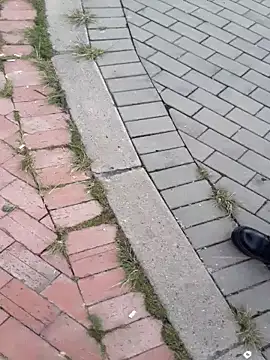 sophie banger online show from 11/18/25, 04:33