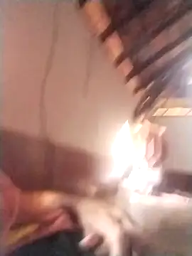 rajshank online show from 12/29/24, 10:01