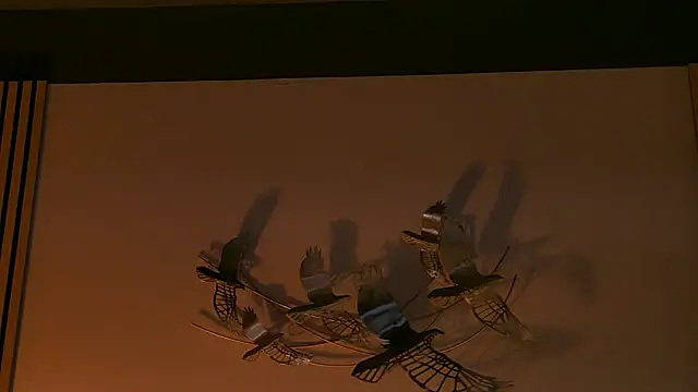 AngeliqueSkye online show from 10/17/25, 03:10