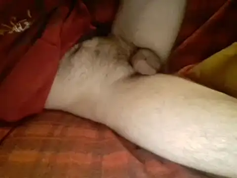 Ariete80s online show from 03/10/25, 06:16