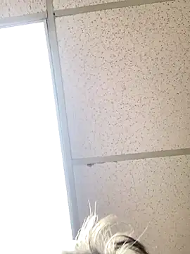 Tonybaloney1972 online show from 10/31/25, 08:54