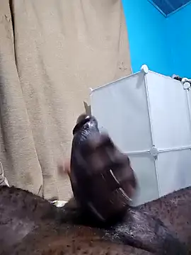 Snapshot of Dick_undisputed chatting on 01/07/25, 01:17 Dick undisputed online show from 01/07/25, 01:17