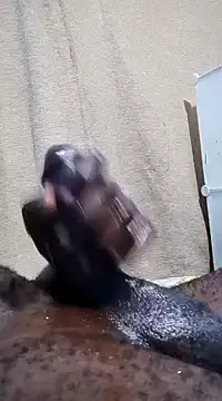 Snapshot of Dick_undisputed chatting on 01/13/25, 12:19 Dick undisputed online show from 01/13/25, 12:19