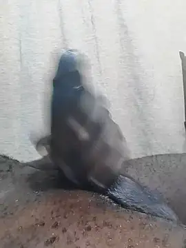 Snapshot of Dick_undisputed chatting on 02/23/25, 12:16 Dick undisputed online show from 02/23/25, 12:16