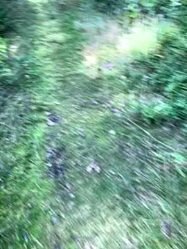 Snapshot of Zbochunec chatting on 09/13/25, 11:43 Zbochunec online show from 09/13/25, 11:43