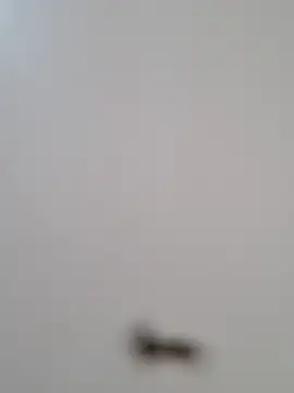 BriannaVincent online show from 10/29/25, 04:26