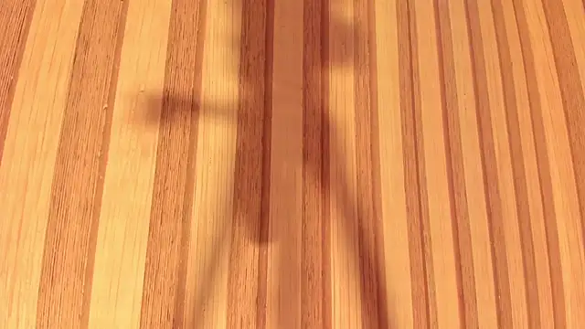 Snapshot of Daisy__rose chatting on 02/22/25, 11:02 Daisy rose online show from 02/22/25, 11:02