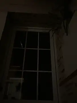 Snapshot of Imperial_10 chatting on 12/06/24, 02:46 Imperial 10 online show from 12/06/24, 02:46