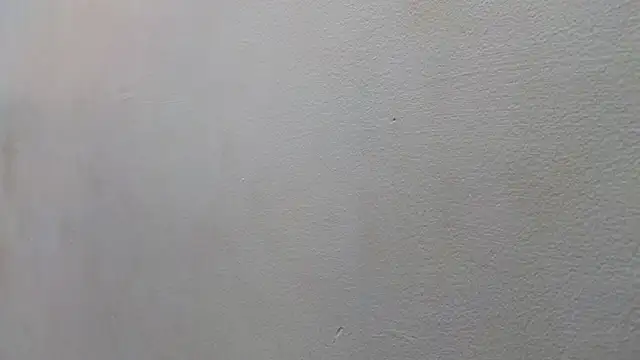 JESSYCORTES online show from 01/15/25, 08:48