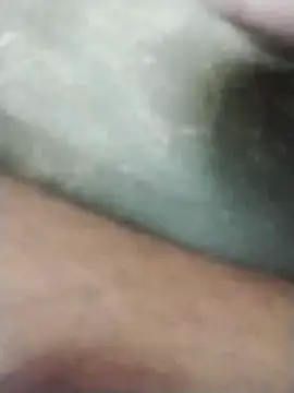 polamvariya online show from 11/20/25, 10:04