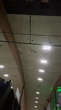 Snapshot of M1ssyk1ssy chatting on 12/21/24, 03:25 M1ssyk1ssy online show from 12/21/24, 03:25