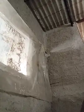 strip 1212 online show from 11/16/25, 02:55