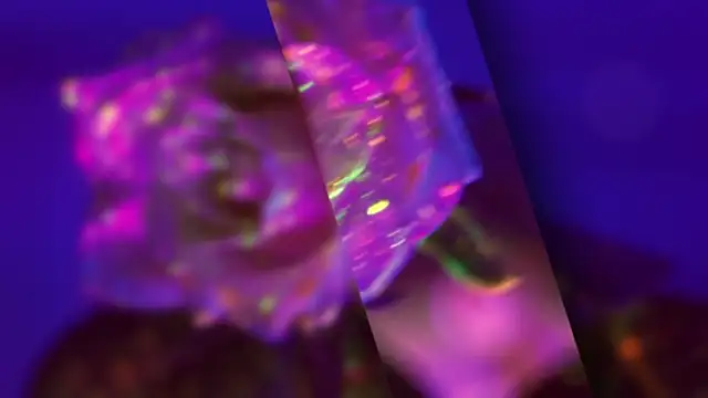 HeyBananas online show from 10/22/25, 05:56