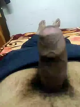 fuckboi2103 online show from 01/05/25, 08:54