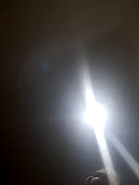 Colorao4 online show from 10/28/25, 07:34