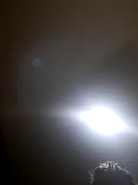 Colorao4 online show from 11/19/25, 04:23