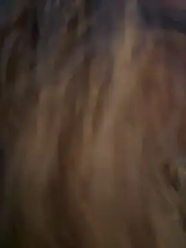 Lombada online show from 11/13/25, 04:17