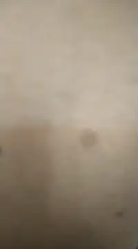 rohitlov150 online show from 02/13/25, 11:50