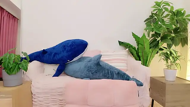 cohaku 329 online show from 01/09/25, 01:13