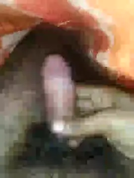 cjonybab online show from 01/14/25, 02:29