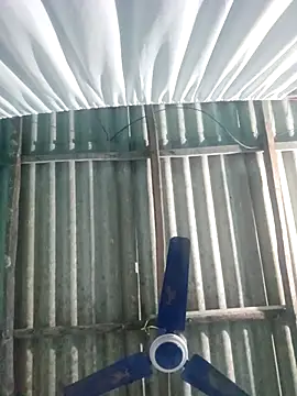 Snapshot of hotbaby_5 chatting on 11/20/25, 02:50 hotbaby 5 online show from 11/20/25, 02:50