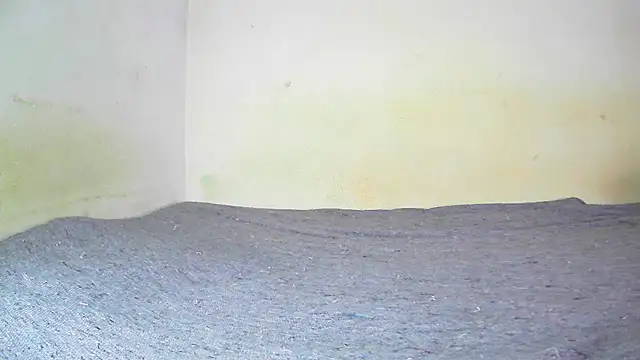 fern tlk online show from 01/19/25, 07:58