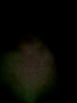 Snapshot of Kasandra02 chatting on 03/01/25, 06:46 Kasandra02 online show from 03/01/25, 06:46