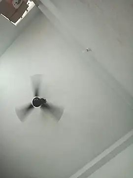 pintuS40 online show from 11/06/25, 03:07