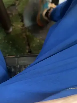 Yolngg online show from 10/11/25, 10:41