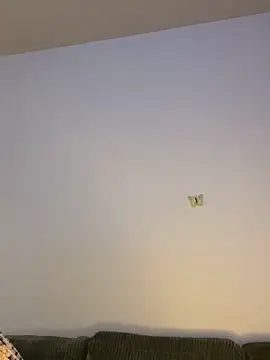 RainFallzxxz online show from 01/22/25, 02:37