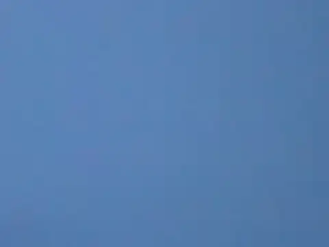 ToonyDee online show from 01/13/25, 05:55