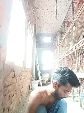 NICK IN online show from 12/02/24, 06:52