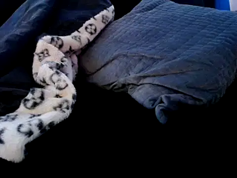 Niquitasparkles online show from 12/22/24, 09:31