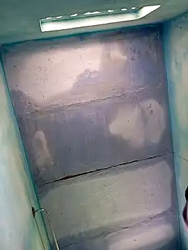 Andrapradesh online show from 10/13/25, 08:58