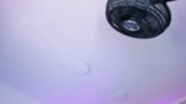 AmberiniHoffman online show from 10/26/25, 12:11